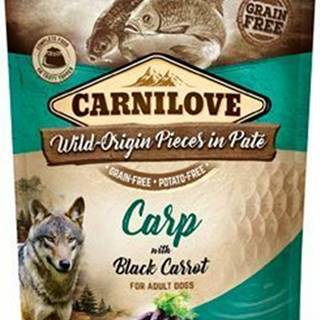 Carnilove Dog Pouch Paté Carp & Black Carrot 300g