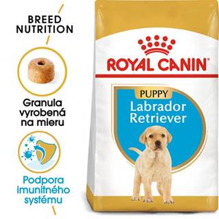 ROYAL CANIN Labrador Retriever Puppy 2 x 12 kg granule pre šteňa labradora