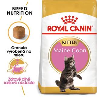 ROYAL CANIN Maine Coon Kitten 400g granule pre mainské mývalie mačiatka