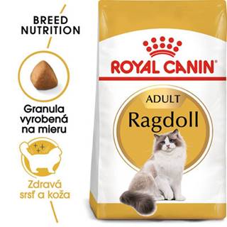 ROYAL CANIN Ragdoll Adult 2kg granule pre ragdoll mačky