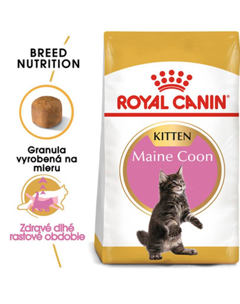 fera ROYAL CANIN Maine Coon Kitten 10kg granule pre mainské mývalie mačiatka