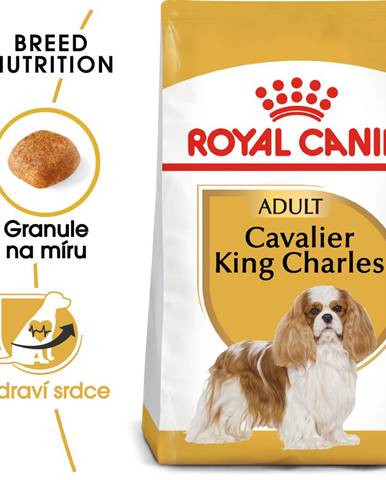 Royal Canin KAVALIER KING CHARLES - 1,5kg