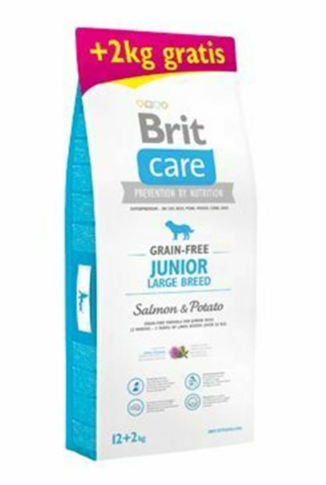 Brit Care Brit Care Dog Grain-free Junior LB Salmon&Potato12+2kg