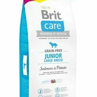 Brit Care Dog Grain-free Junior LB Salmon&Potato12+2kg