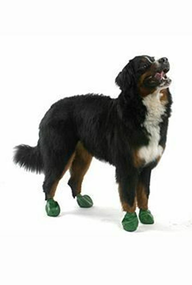 PAWZ Ochranné topánky Pawz gumové XL zelené 12ks